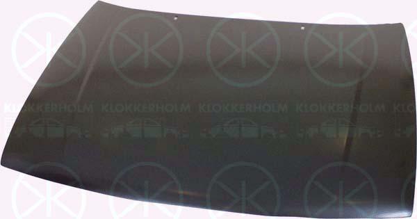 Klokkerholm 6607280 - Капот двигателя autosila-amz.com