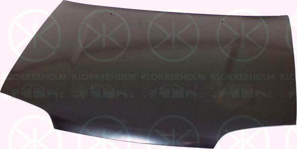 Klokkerholm 6811280 - Капот двигателя autosila-amz.com