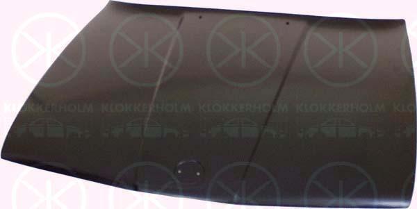Klokkerholm 0054280 - Капот двигателя autosila-amz.com
