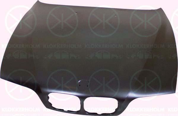 Klokkerholm 0065280 - Капот двигателя autosila-amz.com