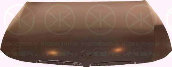 Klokkerholm 0062280A1 - Капот двигателя autosila-amz.com