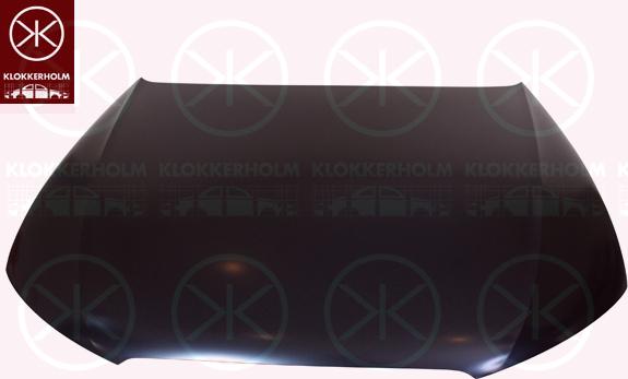 Klokkerholm 0029281 - Капот двигателя autosila-amz.com