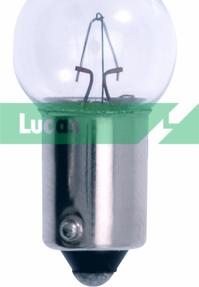 LUCAS LLB989P - Лампа накаливания, фонарь освещения номерного знака autosila-amz.com