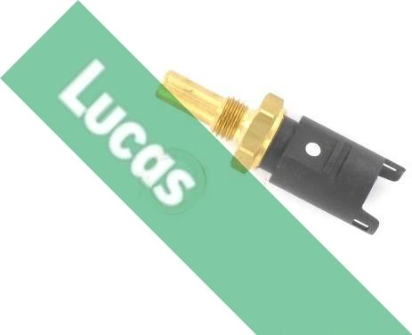 LUCAS SNB981 - Датчик, температура масла autosila-amz.com