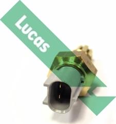 LUCAS SNB1500 - Датчик, температура впускаемого воздуха autosila-amz.com