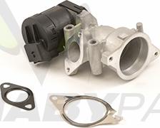 Mabyparts OEV010038 - Клапан возврата ОГ autosila-amz.com