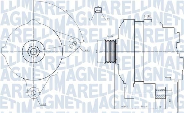 Magneti Marelli 063731665010 - Генератор autosila-amz.com