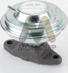 Motaquip LVER329 - Клапан возврата ОГ autosila-amz.com