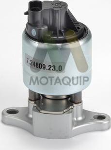 Motaquip LVER320 - Клапан возврата ОГ autosila-amz.com