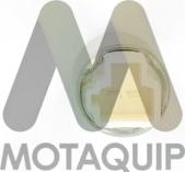 Motaquip LVRB404 - Переключатель управления, сист. регулирования скорости autosila-amz.com