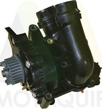 Motaquip LVWP1089 - Водяной насос autosila-amz.com