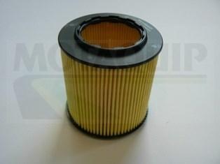 Motaquip VFL539 - Масляный фильтр autosila-amz.com