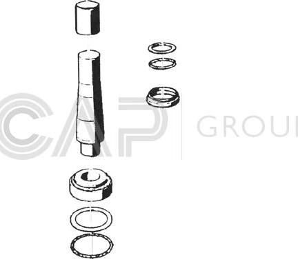 OCAP 0927454 - Ремкомплект, шкворень поворотного кулака autosila-amz.com