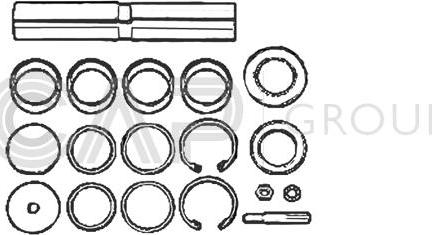 OCAP 0927427 - Ремкомплект, шкворень поворотного кулака autosila-amz.com