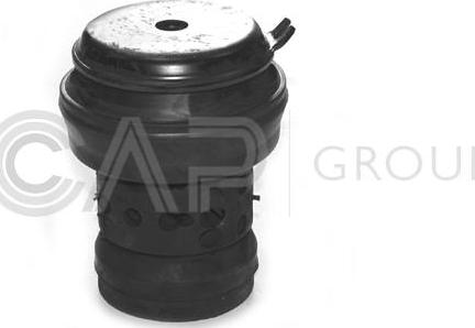 OCAP 1225501 - Подушка, опора, подвеска двигателя autosila-amz.com