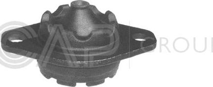 OCAP 1225683 - Подушка, опора, подвеска двигателя autosila-amz.com
