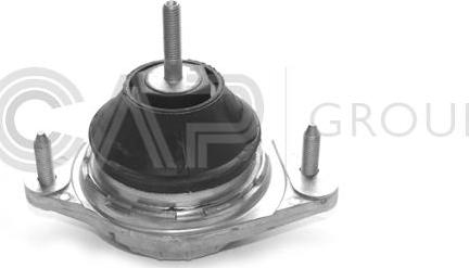 OCAP 1225023 - Подушка, опора, подвеска двигателя autosila-amz.com