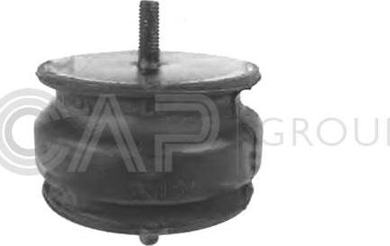 OCAP 1225852 - Подушка, опора, подвеска двигателя autosila-amz.com
