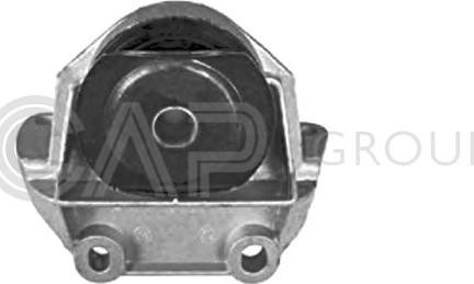 OCAP 1225796 - Подушка, опора, подвеска двигателя autosila-amz.com