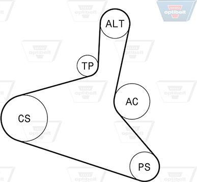 Optibelt 6 DPK 1195KT1 - Поликлиновый ременный комплект autosila-amz.com