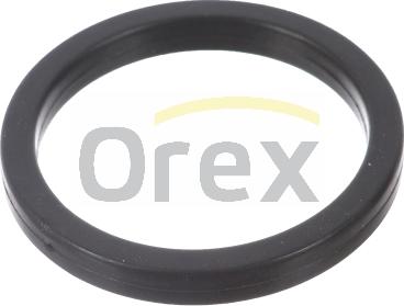 Orex 616004 - Прокладка, водяной насос autosila-amz.com