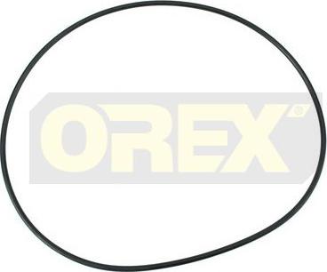 Orex 116002 - Прокладка, ступица планетарного механизма autosila-amz.com