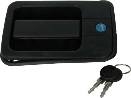 Pacol IVE-DH-001R - Ручка двери autosila-amz.com