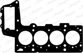 Payen AC5431 - Прокладка, головка цилиндра autosila-amz.com