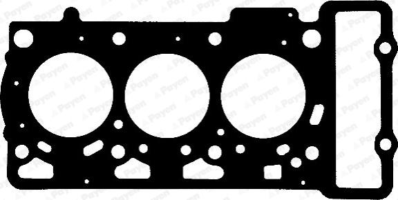 Payen AC5660 - Прокладка, головка цилиндра autosila-amz.com