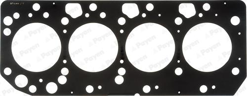 Payen AD5370 - Прокладка, головка цилиндра autosila-amz.com