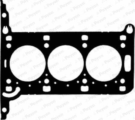 Payen AE5950 - Прокладка, головка цилиндра autosila-amz.com