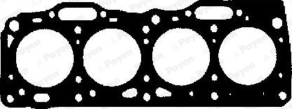 Payen AY460 - Прокладка, головка цилиндра autosila-amz.com