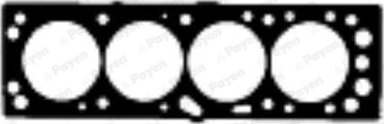 Payen AY220 - Прокладка, головка цилиндра autosila-amz.com