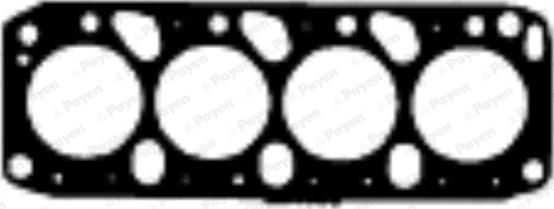 Payen BW030 - Прокладка, головка цилиндра autosila-amz.com