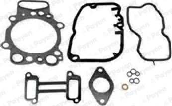 Payen CH5671 - Комплект прокладок, головка цилиндра autosila-amz.com