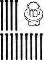 Payen HBS443 - Комплект болтов головки цилиндра autosila-amz.com