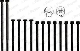 Payen HBS010 - Комплект болтов головки цилиндра autosila-amz.com