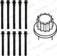 Payen HBS203 - Комплект болтов головки цилиндра autosila-amz.com