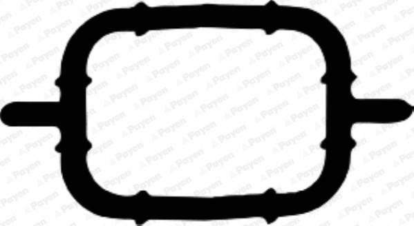 Payen JD5108 - Прокладка, впускной коллектор autosila-amz.com