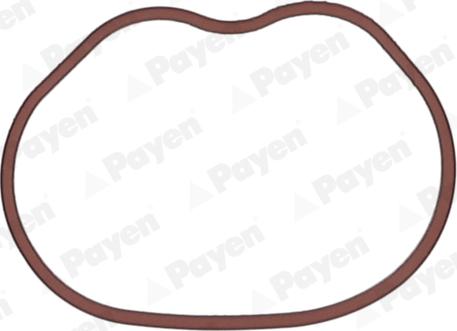 Payen JD6166 - Прокладка, впускной коллектор autosila-amz.com