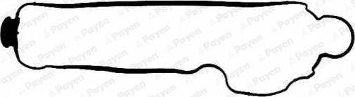 Payen JM5094 - Прокладка, крышка головки цилиндра autosila-amz.com