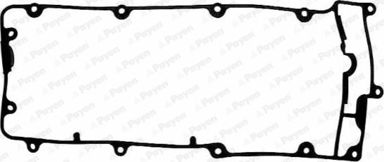 Payen JM5074 - Прокладка, крышка головки цилиндра autosila-amz.com