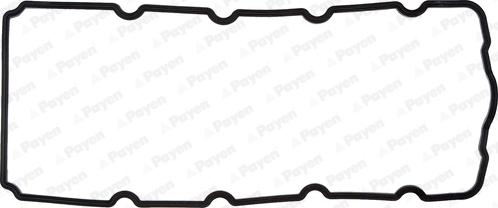 Payen JM5119 - Прокладка, крышка головки цилиндра autosila-amz.com