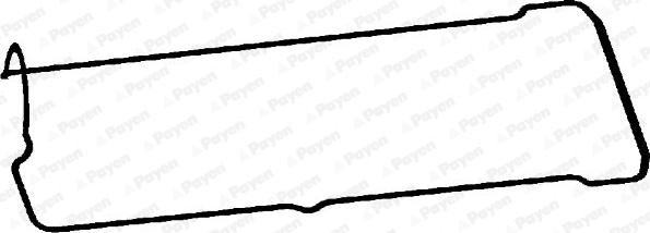 Payen JM5304 - Прокладка, крышка головки цилиндра autosila-amz.com