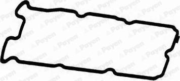 Payen JM5317 - Прокладка, крышка головки цилиндра autosila-amz.com