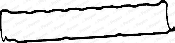 Payen JM7054 - Прокладка, крышка головки цилиндра autosila-amz.com