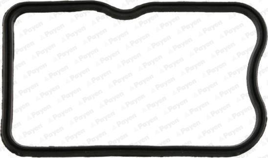 Payen JM7135 - Прокладка, крышка головки цилиндра autosila-amz.com
