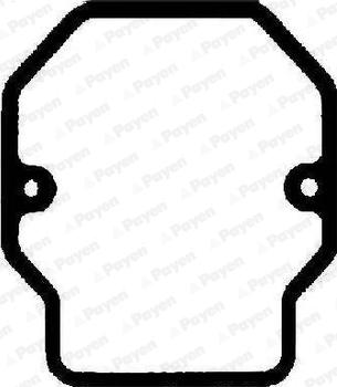 Payen JM7129 - Прокладка, крышка головки цилиндра autosila-amz.com