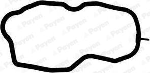 Payen JM7174 - Прокладка, крышка головки цилиндра autosila-amz.com