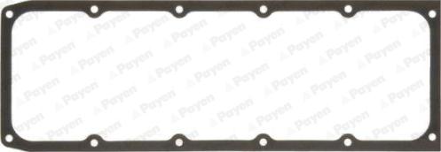 Payen JN459 - Прокладка, крышка головки цилиндра autosila-amz.com